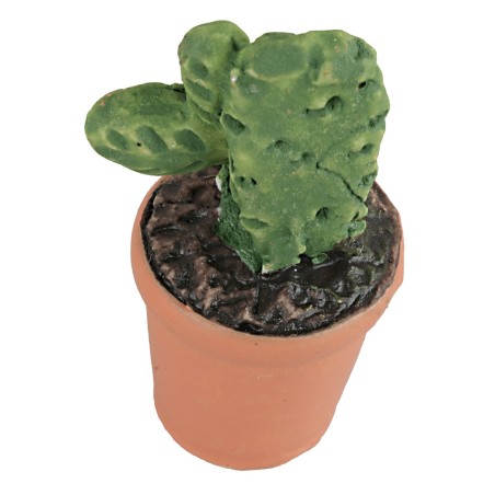 Vaso con pianta grassa in vari colori cm 4h