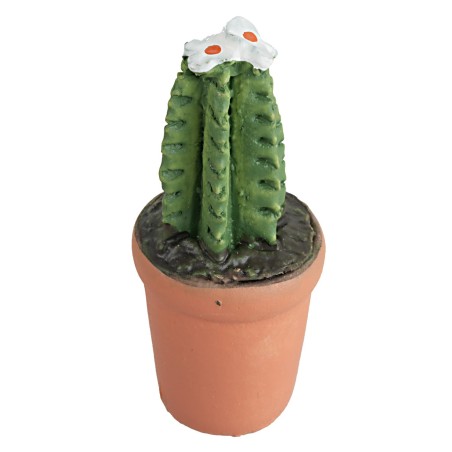 Vaso in resina di piante grasse con diversi colori resina