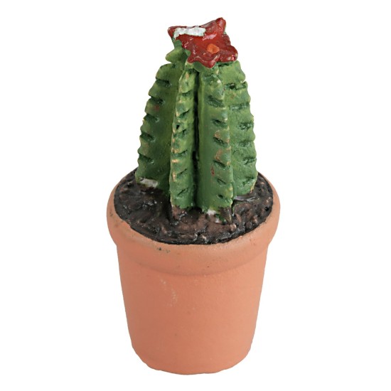 Vaso in resina di piante grasse con diversi colori piante