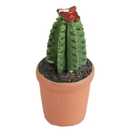 Vaso con pianta grassa in vari colori cm 4h