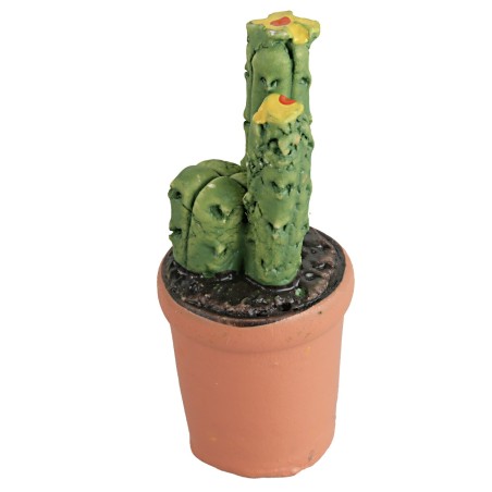 Vaso in resina di piante grasse con diversi colori piante