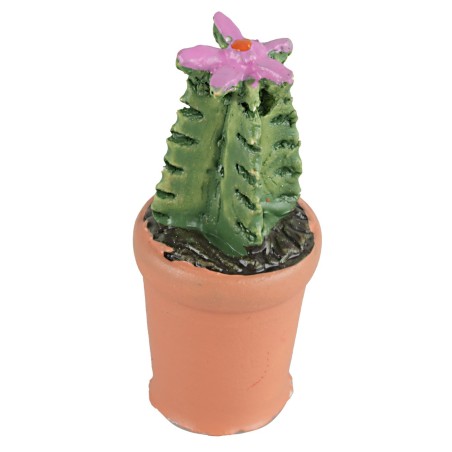 Vaso con pianta grassa in vari colori cm 4h