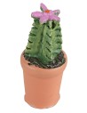 Vaso con pianta grassa in vari colori cm 4h