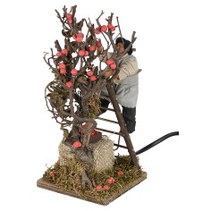 Raccoglitore di mele in movimento 12 cm