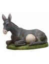 Donkey 53 cm Euromarchi