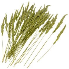 Erba Cristina 50 gr