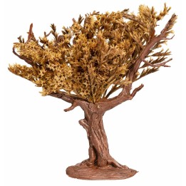 Albero con chioma autunnale cm 12 h