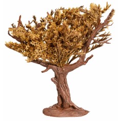 Árbol de resina con copa de Teloxis aristata para belén