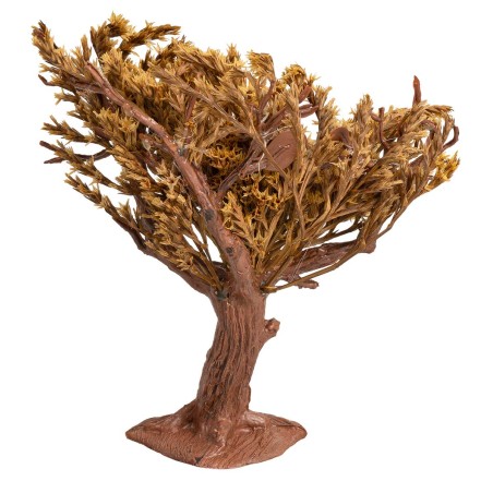Árbol de resina con copa de Teloxis aristata para belén