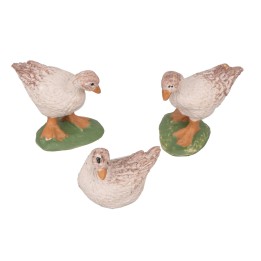 Set 3 anatre assortite con base