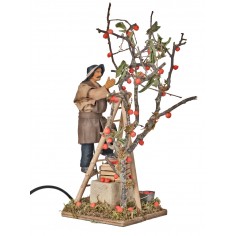 Raccoglitore di mele in movimento 12 cm per presepe Mondo