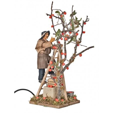 Raccoglitore di mele in movimento 12 cm per presepe Mondo
