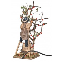 Raccoglitore di mele in movimento 12 cm per presepe Mondo 2