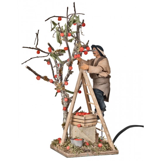 Raccoglitore di mele in movimento 12 cm per presepe Mondo
