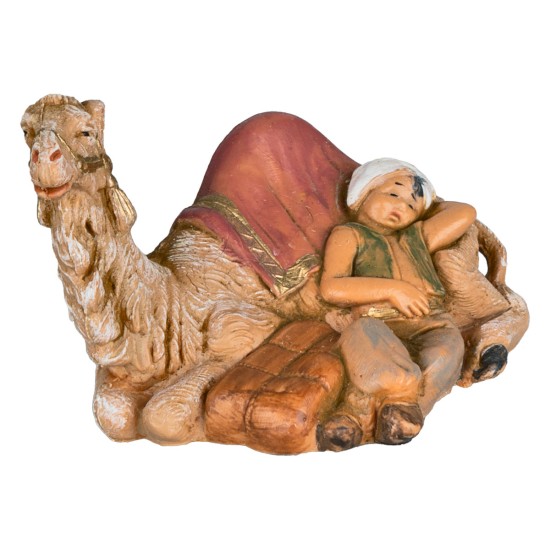 Eastern Cammelliere resting with dromedary 6.5 cm