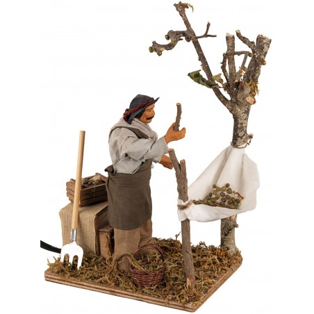 Hombre que recoge aceitunas en movimiento 14 cm para belén