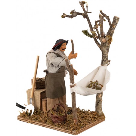Man collecting moving olives 14 cm for nativity scene