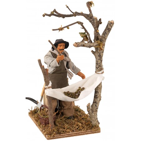 Man collecting moving olives 14 cm for nativity scene