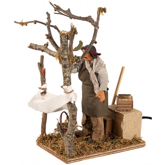 Man collecting moving olives 14 cm for nativity scene