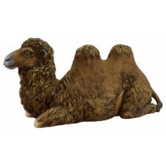 Cammello seduto con testa dritta in resina serie 30 cm Pigini