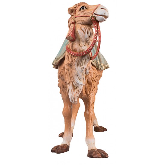 Camel in feet series 30 cm Fontanini