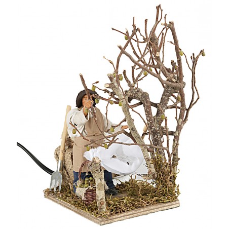 Moving olive picker 12 cm for Mondo nativity scene
