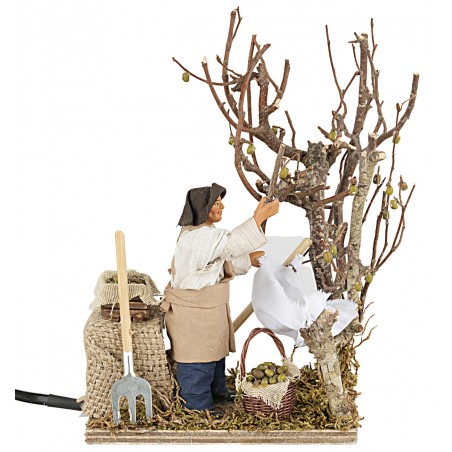 Raccoglitore di olive in movimento 12 cm per presepe Mondo