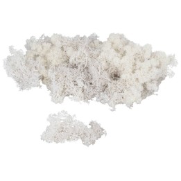 Lichene bianco disponibile in buste da: