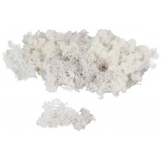 White lichen available in bags for nativity scene World