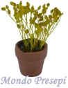 Vaso con fiori gialli