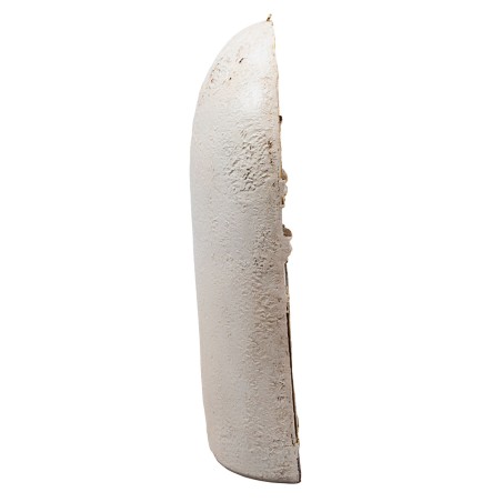 Presentation of Jesus 10 cm in resin Easter figurines for