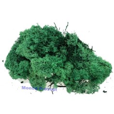 Lichen forest green 150 gr