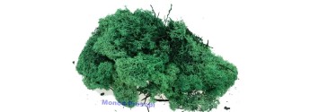 Lichene verde bosco 150 gr Mondo Presepi