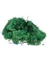 Lichene verde bosco 500 gr Mondo Presepi