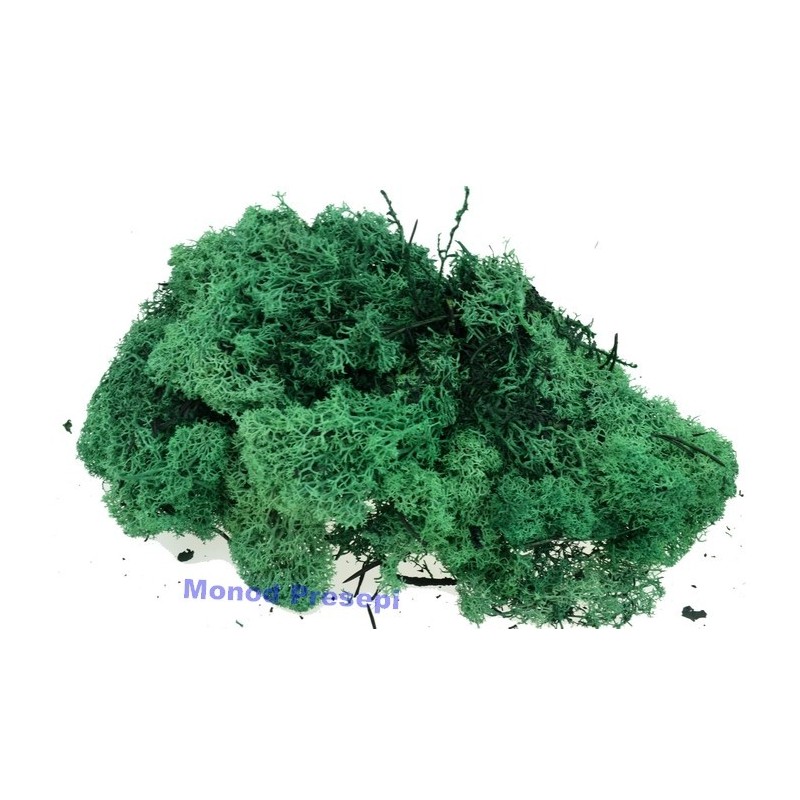 Lichene verde scuro 1 Kg Mondo Presepi