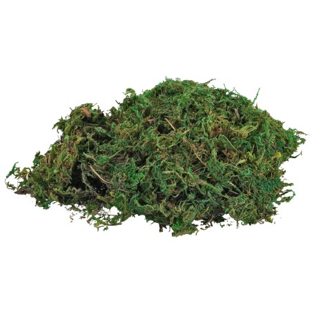 Evergreen moss in a 100g bag for nativity scene Mondo Presepi
