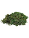 Evergreen moss in a 100g bag for nativity scene Mondo Presepi