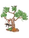 Niño sobre el columpio atado a un árbol para el belén