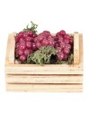 Miniature wooden crate with bunches of grapes.