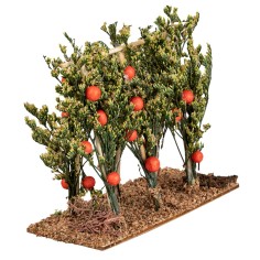 Árboles de tomate con soporte de madera cm 12x5x11 h para 2