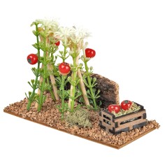 Piante di pomodoro sorrette da traliccio cm 12x5x8,5 h 2