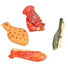 Set of 4 fish and shellfish in assorted colors in resin