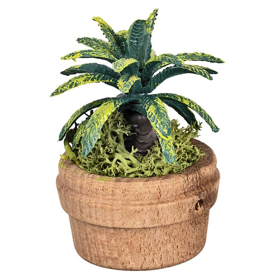 Planta tropical en maceta Ø4 x 6 h para pesebre Mondo Presepi
