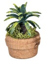 Planta tropical en maceta Ø4 x 6 h para pesebre Mondo Presepi