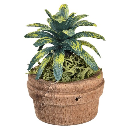 Planta tropical en maceta Ø4 x 6 h para pesebre Mondo Presepi