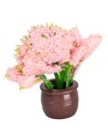 Ornamental plant with pink flowers in brown pot Ø1.5x5 cm