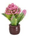 Pianta con fiori rosa scuro in vaso marrone cm Ø1,5x5 h