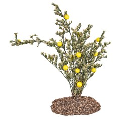 Pianta di limoni in pvc su base effetto terra – H 13,5 cm per