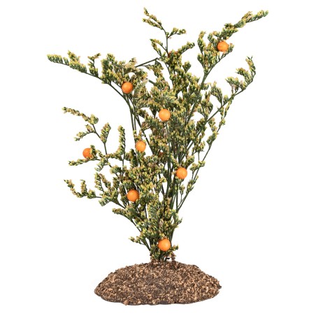 Orange plant in PVC with earth effect base – Height 16 cm