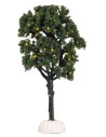 Árbol de naranjas altura 15 cm